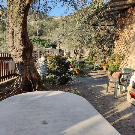 Casa Elvira Lägenhet Seglia San Bernardo Exteriör bild