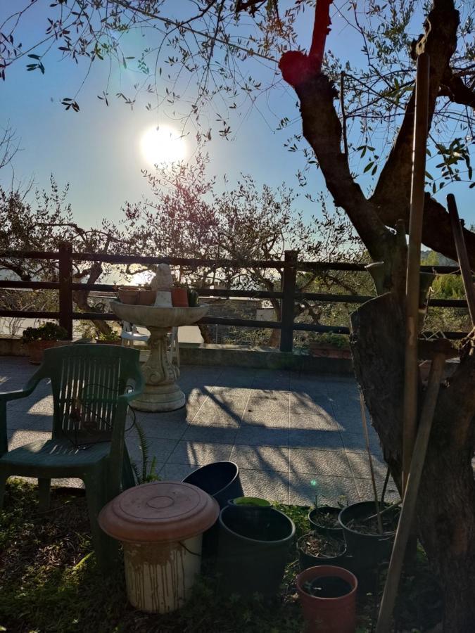 Casa Elvira Lägenhet Seglia San Bernardo Exteriör bild